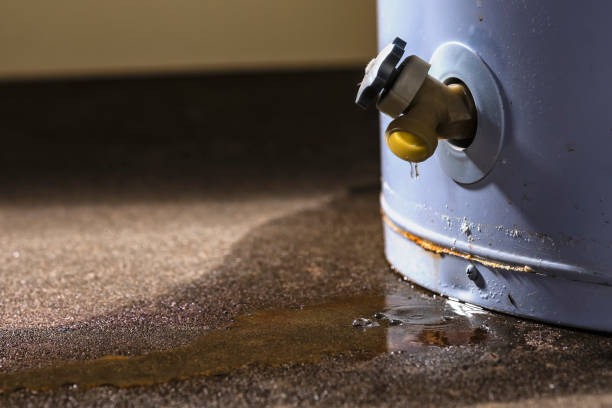 Best Flood damage cleanup  in Choccolocco, AL