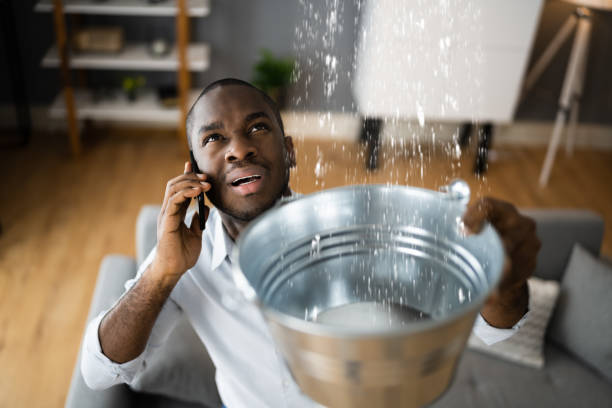 Best Water damage restoration near me  in Choccolocco, AL