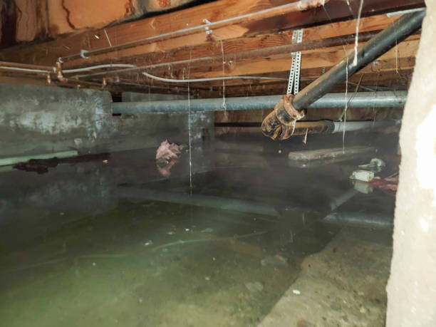 Best Residential water damage restoration  in Choccolocco, AL