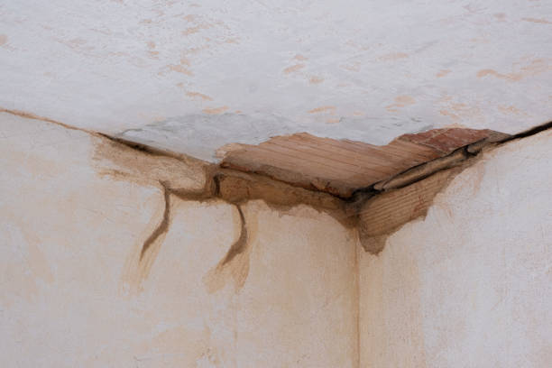 Best Fire Damage Restoration  in Choccolocco, AL