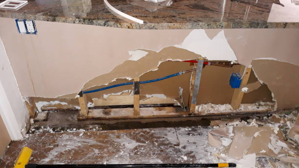 Best 24/7 water damage repair  in Choccolocco, AL