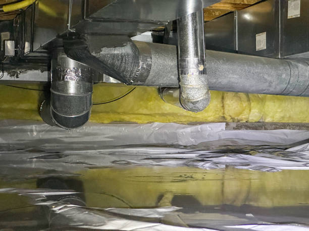 Best Basement water damage restoration  in Choccolocco, AL