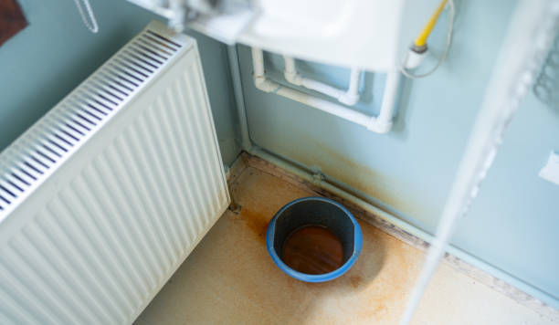 Best Water damage restoration experts  in Choccolocco, AL
