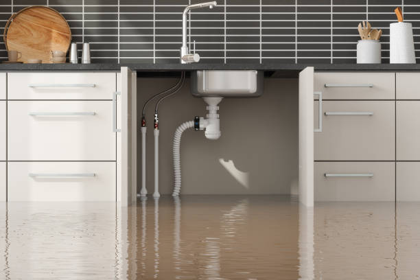 Trusted AL Water damage restoration Experts