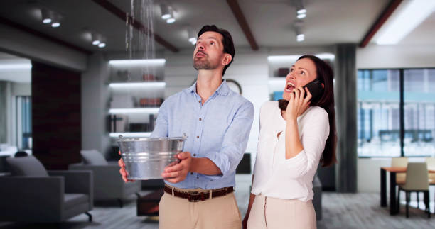  Choccolocco, AL Water damage restoration Pros
